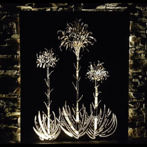 Gymea Lilies Wall Art in Rusted Steel with Lighting at Night
