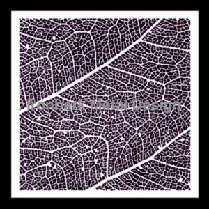 Leaf Vein Pattern
