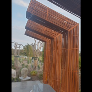 Cantilever Sculptures- Bamboo South Coast